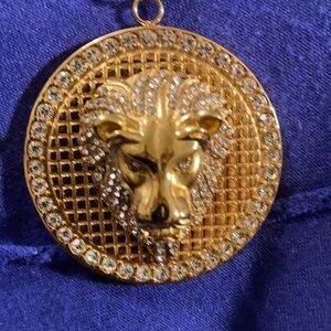 NWT Men’s Stainless Steel pave Lion medallion pendant and rope chain necklace